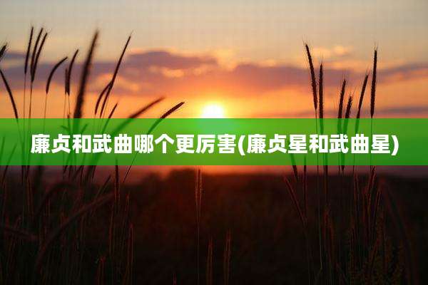 廉贞和武曲哪个更厉害(廉贞星和武曲星)