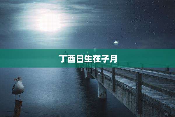 丁酉日生在子月
