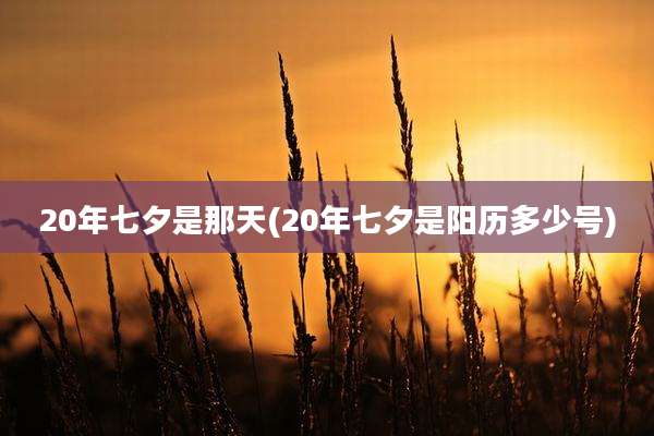 20年七夕是那天(20年七夕是阳历多少号)