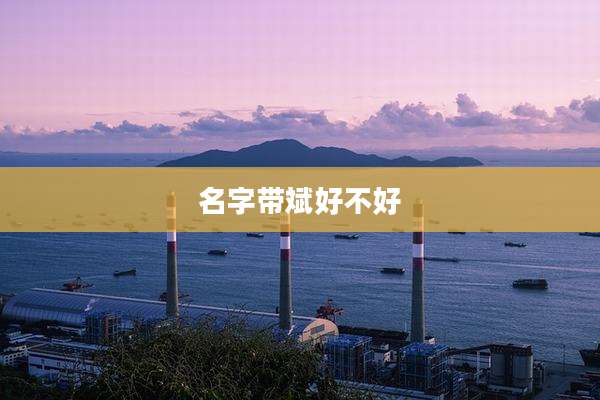 名字带斌好不好
