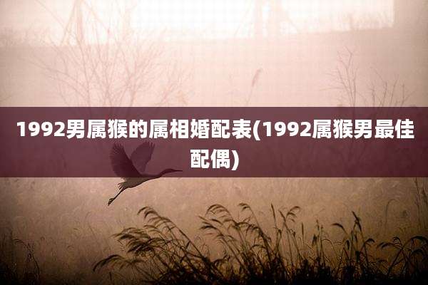 1992男属猴的属相婚配表(1992属猴男最佳配偶)