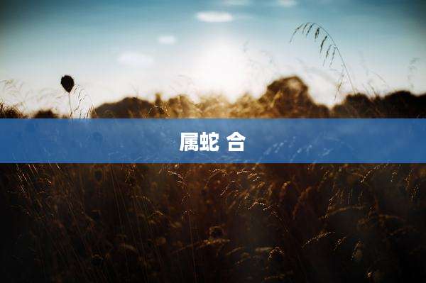 属蛇 合