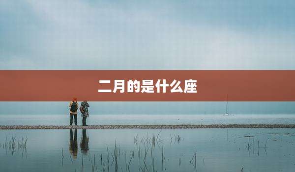 二月的是什么座
