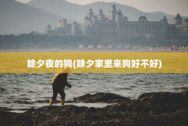 除夕夜的狗(除夕家里来狗好不好)