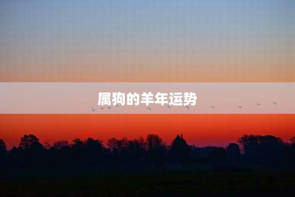 属狗的羊年运势
