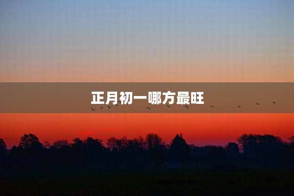 正月初一哪方最旺