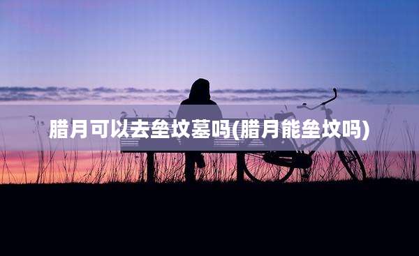 腊月可以去垒坟墓吗(腊月能垒坟吗)