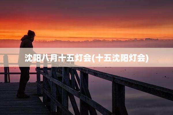 沈阳八月十五灯会(十五沈阳灯会)