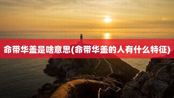 命带华盖是啥意思(命带华盖的人有什么特征)