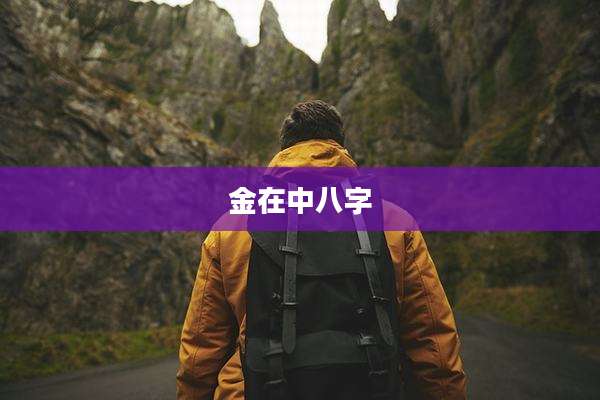 金在中八字