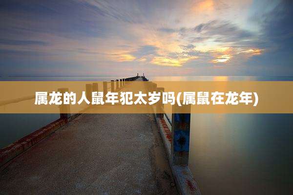 属龙的人鼠年犯太岁吗(属鼠在龙年)