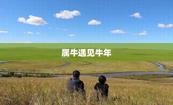 属牛遇见牛年