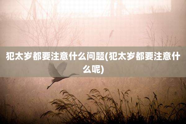 犯太岁都要注意什么问题(犯太岁都要注意什么呢)