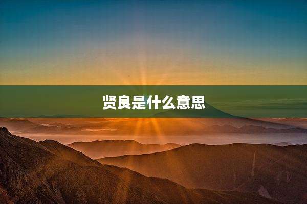 贤良是什么意思