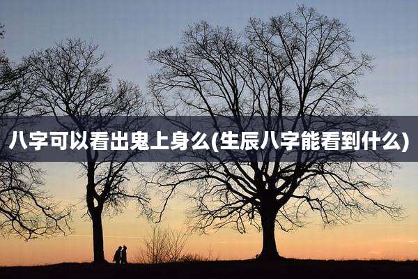 八字可以看出鬼上身么(生辰八字能看到什么)