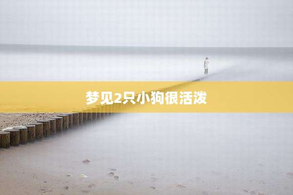 梦见2只小狗很活泼