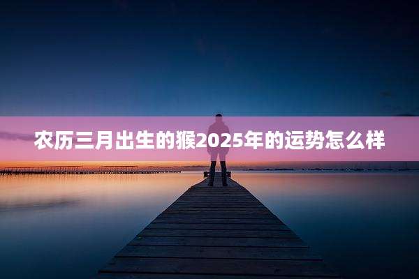 农历三月出生的猴2025年的运势怎么样
