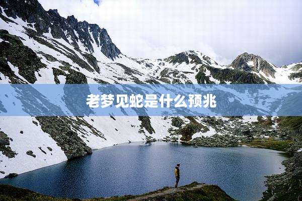 老梦见蛇是什么预兆