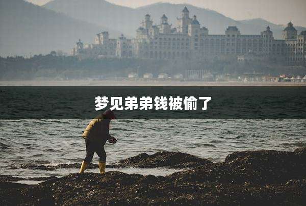 梦见弟弟钱被偷了