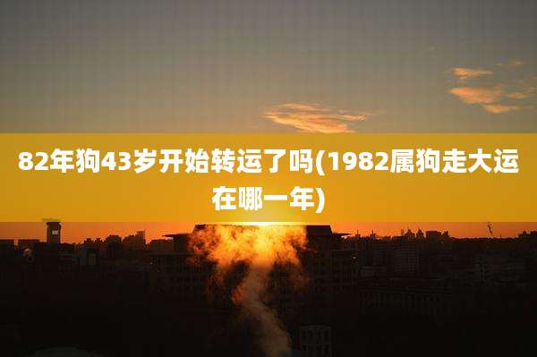 82年狗43岁开始转运了吗(1982属狗走大运在哪一年)