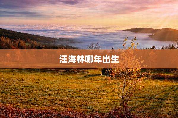 汪海林哪年出生