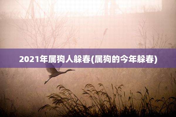 2021年属狗人躲春(属狗的今年躲春)