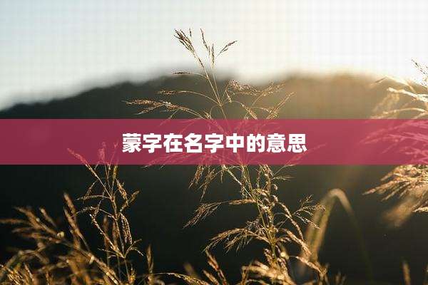 蒙字在名字中的意思