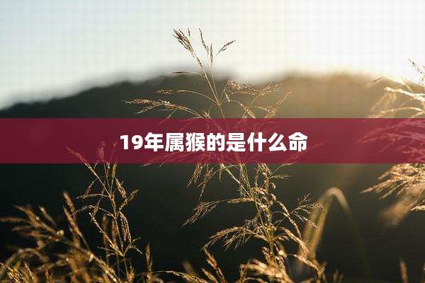 19年属猴的是什么命