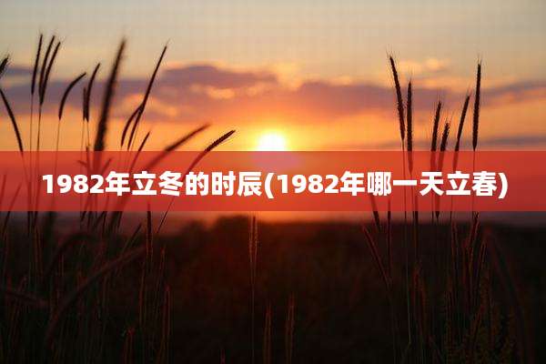 1982年立冬的时辰(1982年哪一天立春)