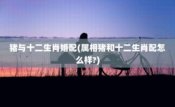 猪与十二生肖婚配(属相猪和十二生肖配怎么样?)