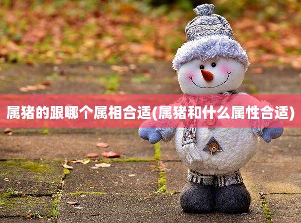 属猪的跟哪个属相合适(属猪和什么属性合适)