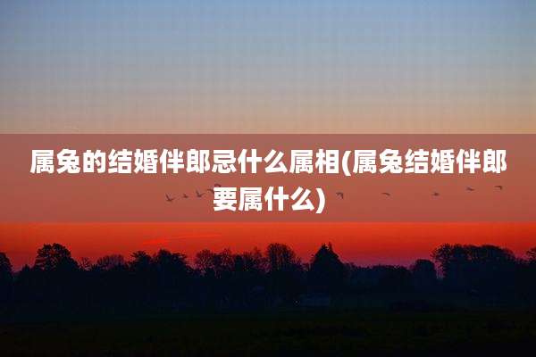 属兔的结婚伴郎忌什么属相(属兔结婚伴郎要属什么)
