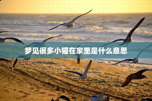 梦见很多小猫在家里是什么意思