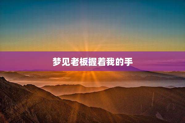 梦见老板握着我的手