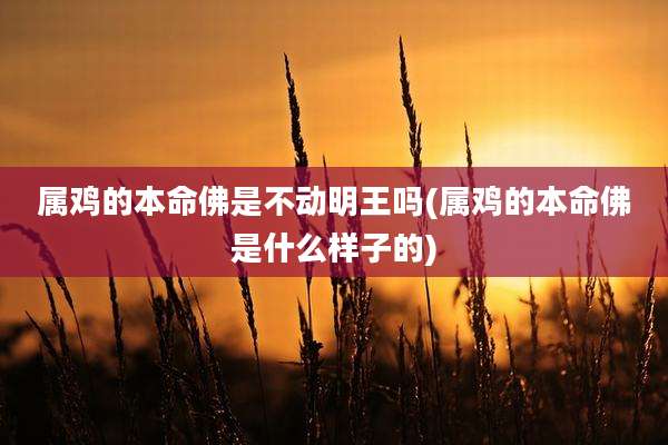 属鸡的本命佛是不动明王吗(属鸡的本命佛是什么样子的)