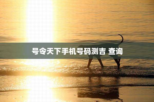 号令天下手机号码测吉 查询