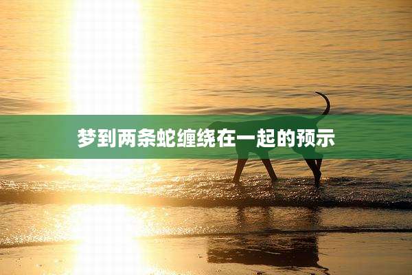 梦到两条蛇缠绕在一起的预示