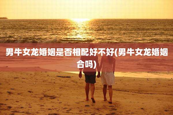 男牛女龙婚姻是否相配好不好(男牛女龙婚姻合吗)