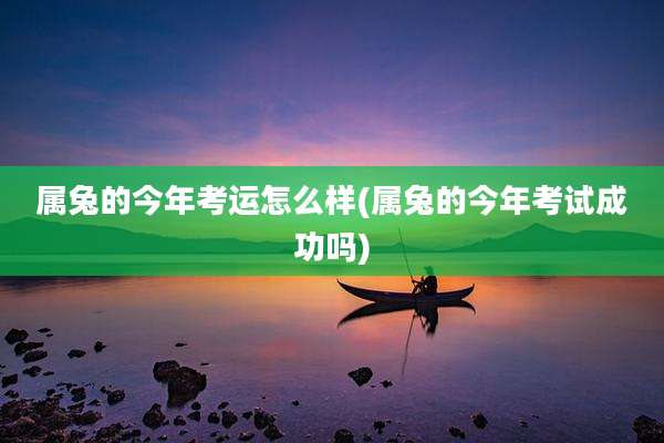 属兔的今年考运怎么样(属兔的今年考试成功吗)