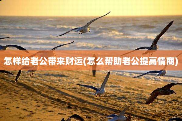 怎样给老公带来财运(怎么帮助老公提高情商)