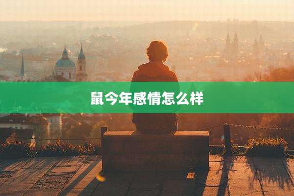 鼠今年感情怎么样