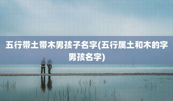 五行带土带木男孩子名字(五行属土和木的字男孩名字)
