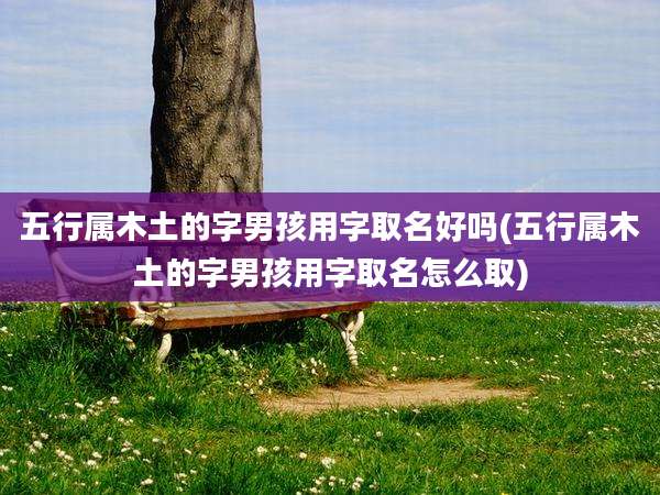 五行属木土的字男孩用字取名好吗(五行属木土的字男孩用字取名怎么取)