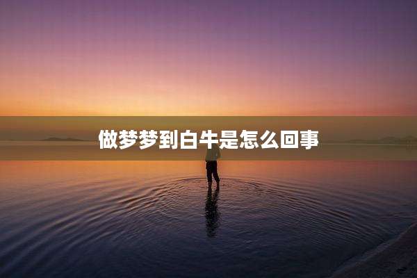 做梦梦到白牛是怎么回事