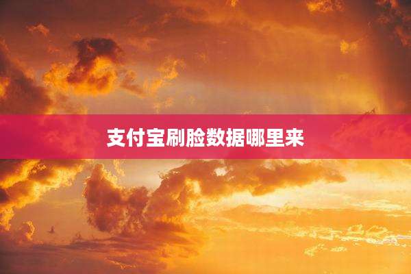 支付宝刷脸数据哪里来