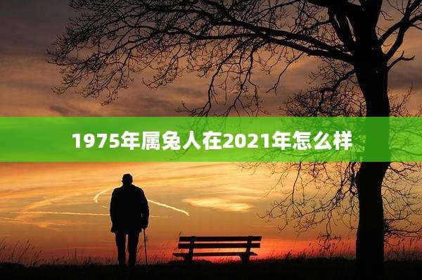 1975年属兔人在2021年怎么样