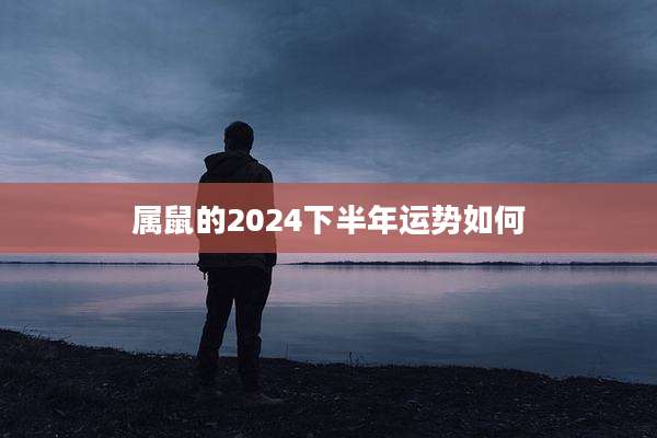 属鼠的2024下半年运势如何