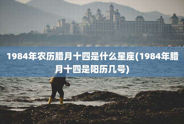 1984年农历腊月十四是什么星座(1984年腊月十四是阳历几号)