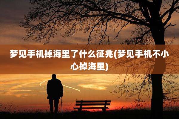 梦见手机掉海里了什么征兆(梦见手机不小心掉海里)