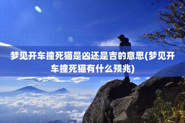 梦见开车撞死猫是凶还是吉的意思(梦见开车撞死猫有什么预兆)